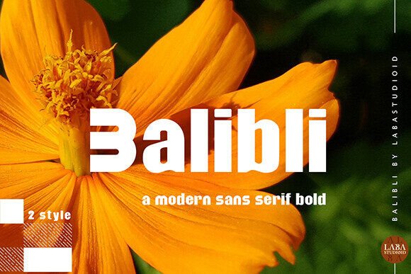 Balibli Font: Modern Sans Serif for Bold Branding