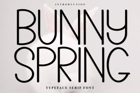 Bunny Spring Typeface for Festive Product Design
