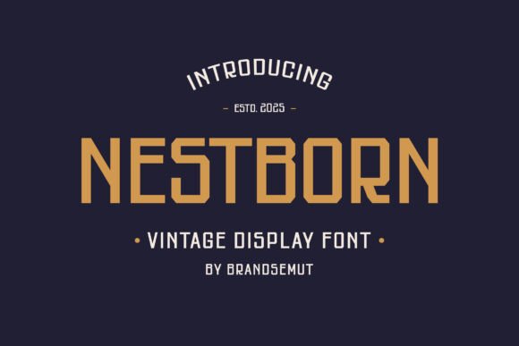 Nestborn: A Vintage Sans Serif Font for Modern Branding