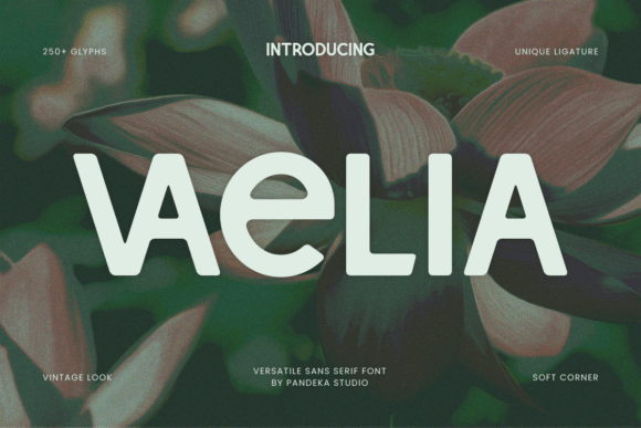 Vaelia Font: Elevate Your Brand Identity