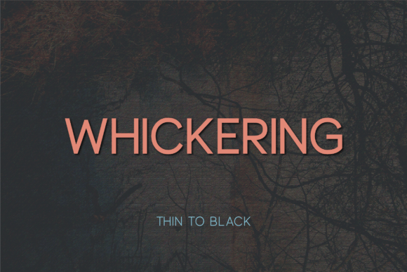 Whickering Typeface for Modern Editorial Design